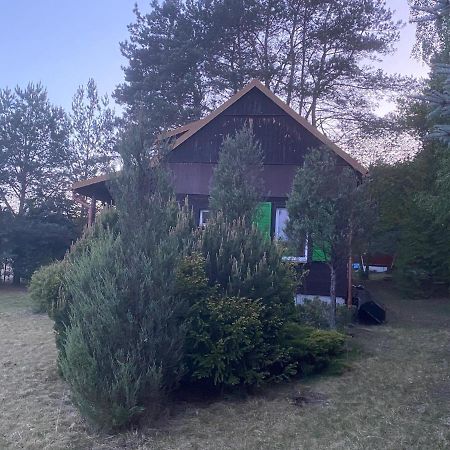 Dom Pod Sosnami Villa Rzewnie Dış mekan fotoğraf