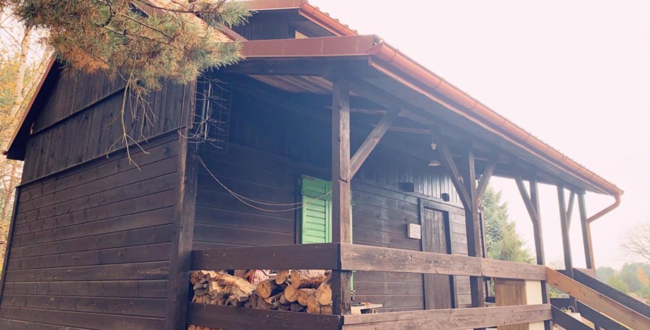 Dom Pod Sosnami Villa Rzewnie Dış mekan fotoğraf