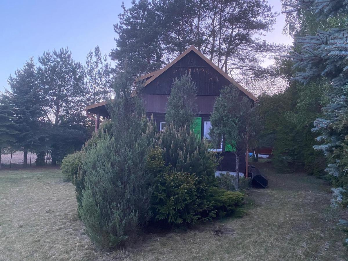 Dom Pod Sosnami Villa Rzewnie Dış mekan fotoğraf