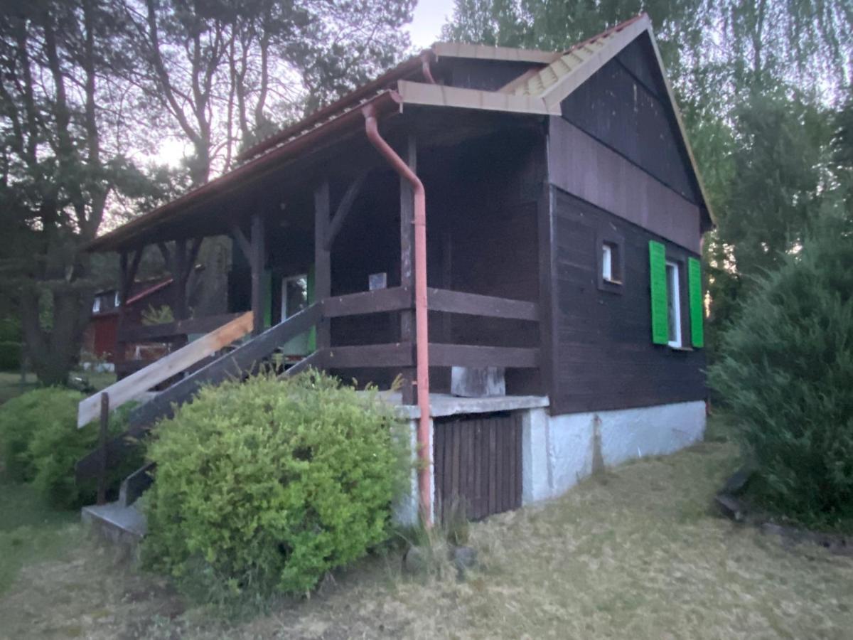 Dom Pod Sosnami Villa Rzewnie Dış mekan fotoğraf