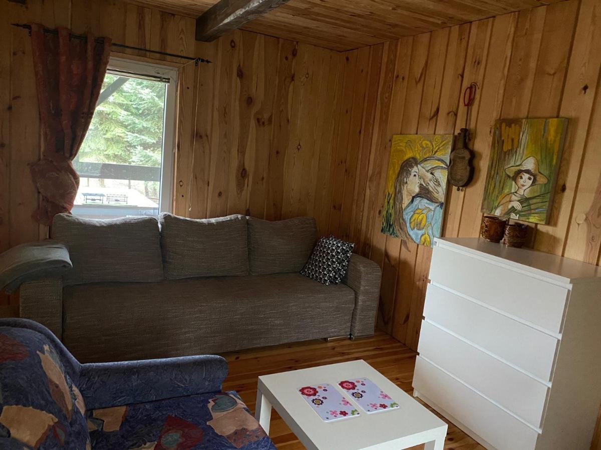 Dom Pod Sosnami Villa Rzewnie Dış mekan fotoğraf