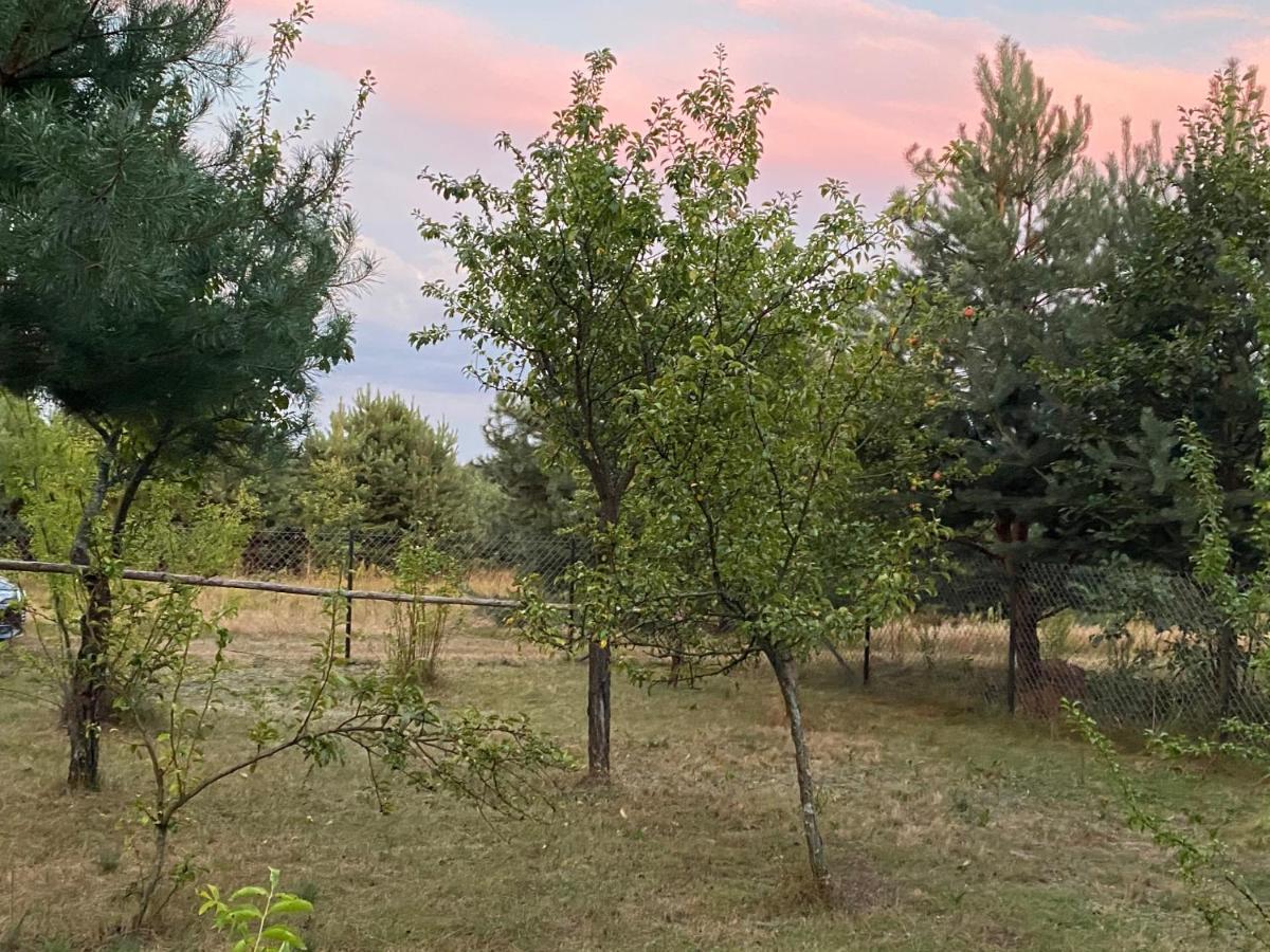 Dom Pod Sosnami Villa Rzewnie Dış mekan fotoğraf